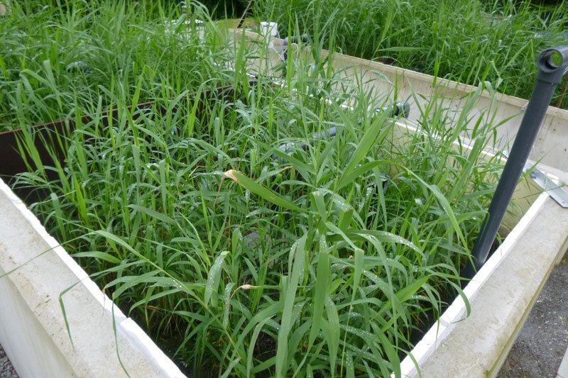 Optimisation du procédé FILTRAN®