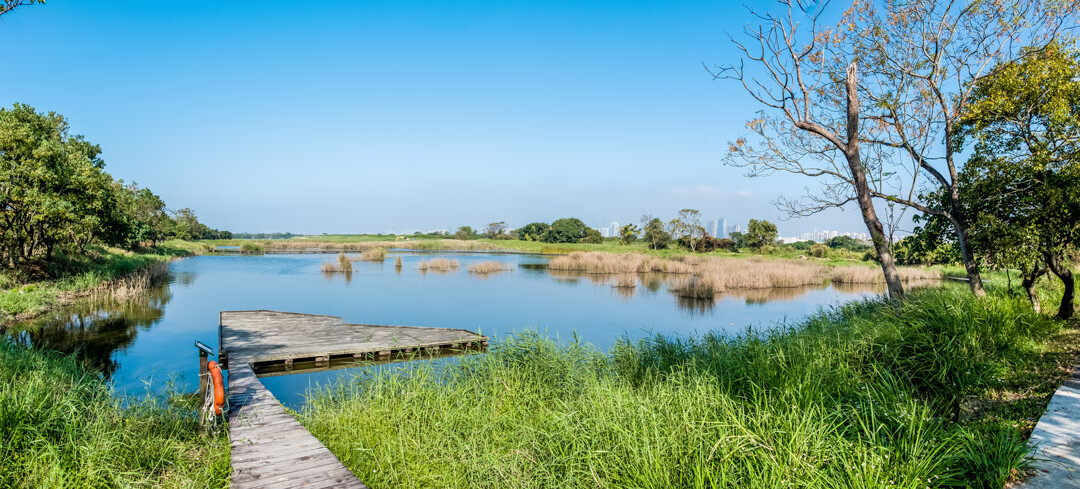 Mares, zones d’immersion et génie écologique