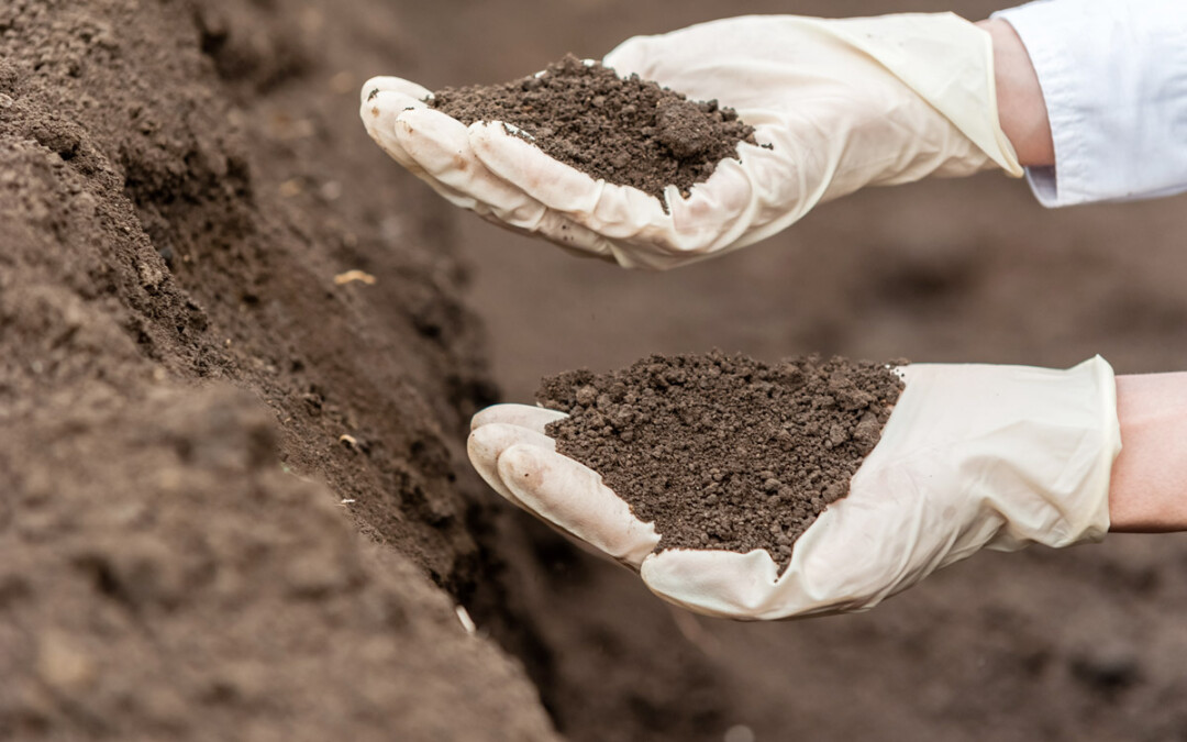 Terres végétales de substitution SubsTer®