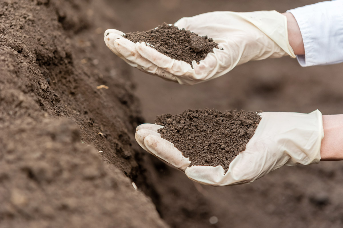 terres-vegetales-substitution-subster-g