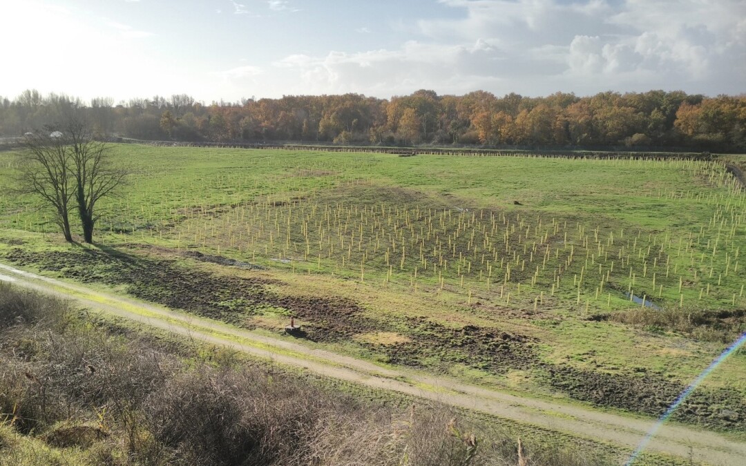 Nouvelles de nos solutions pour les sols en Belgique