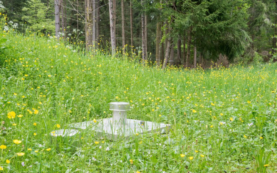 Solutions fondées sur la nature et protection des captages d’eau potable