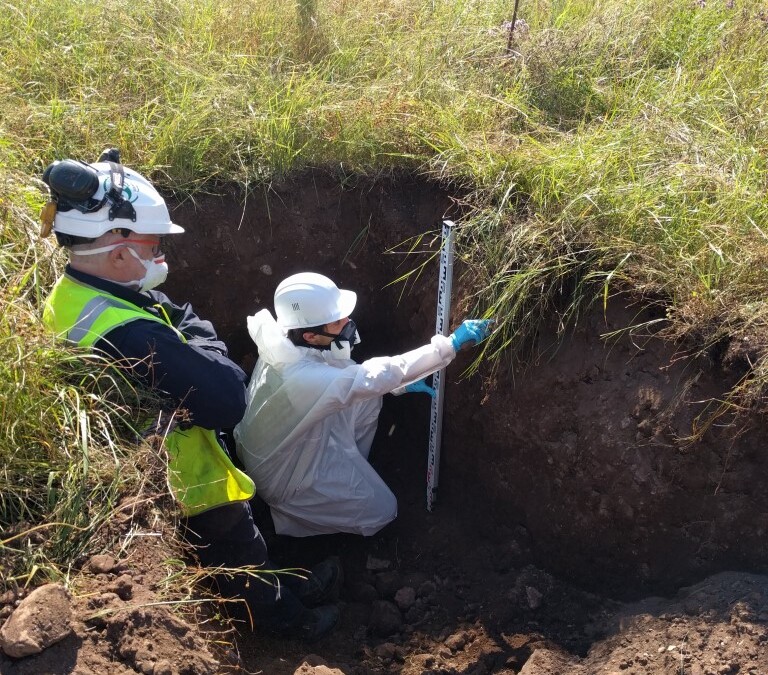 Valorisation de friches industrielles par phytomanagement