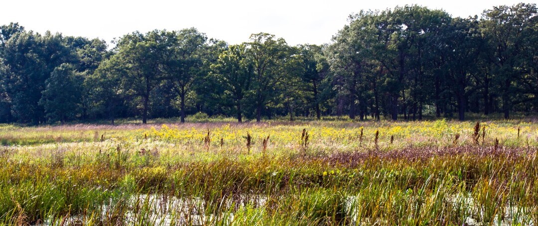 Adaptation du secteur de l’eau au changement climatique avec les solutions fondées sur la nature