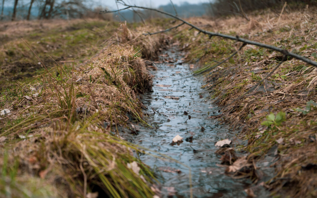 Gestion des eaux de ruissellement en intégrant la biodiversité sur un CET industriel